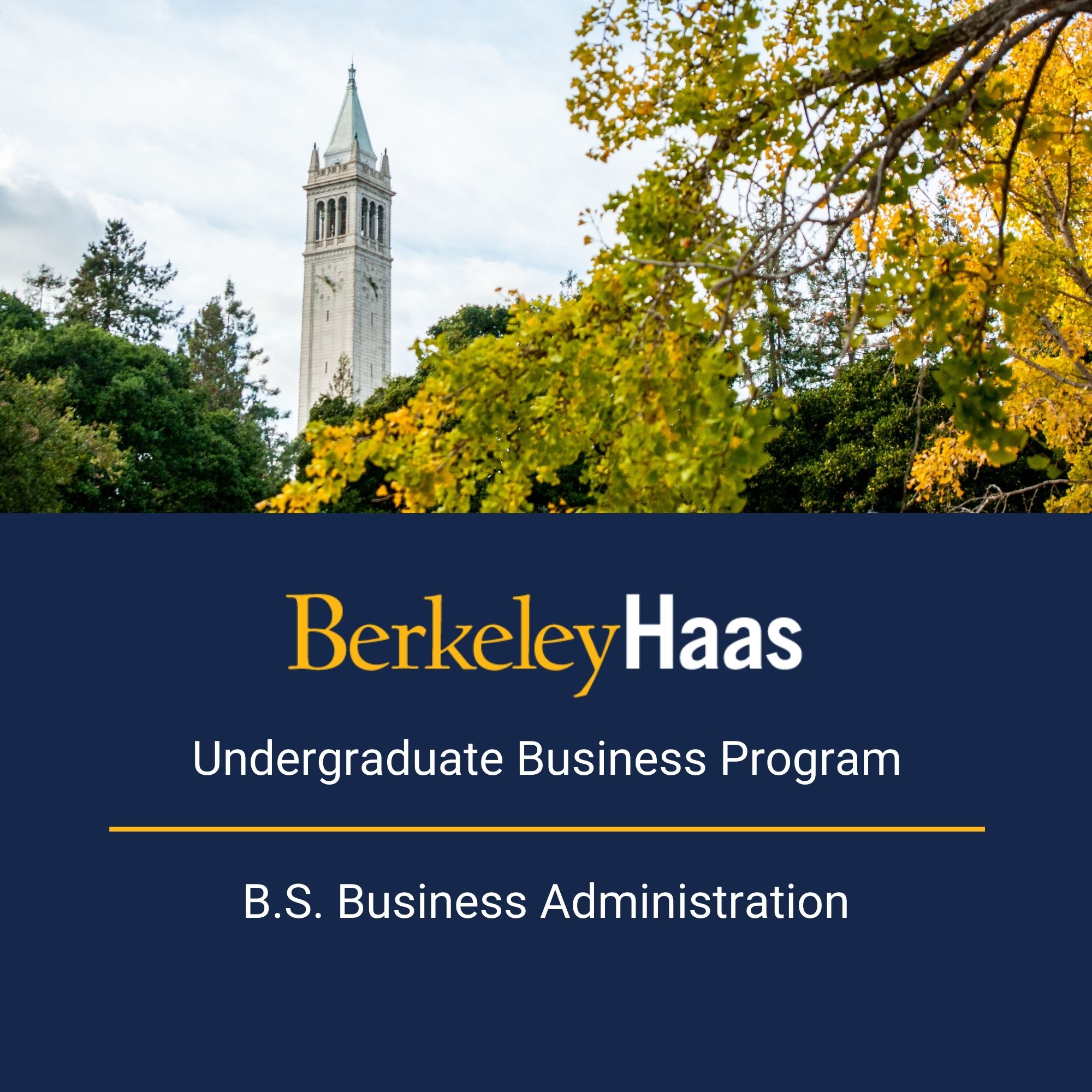 Undergraduate Business Program brochure (PDF)