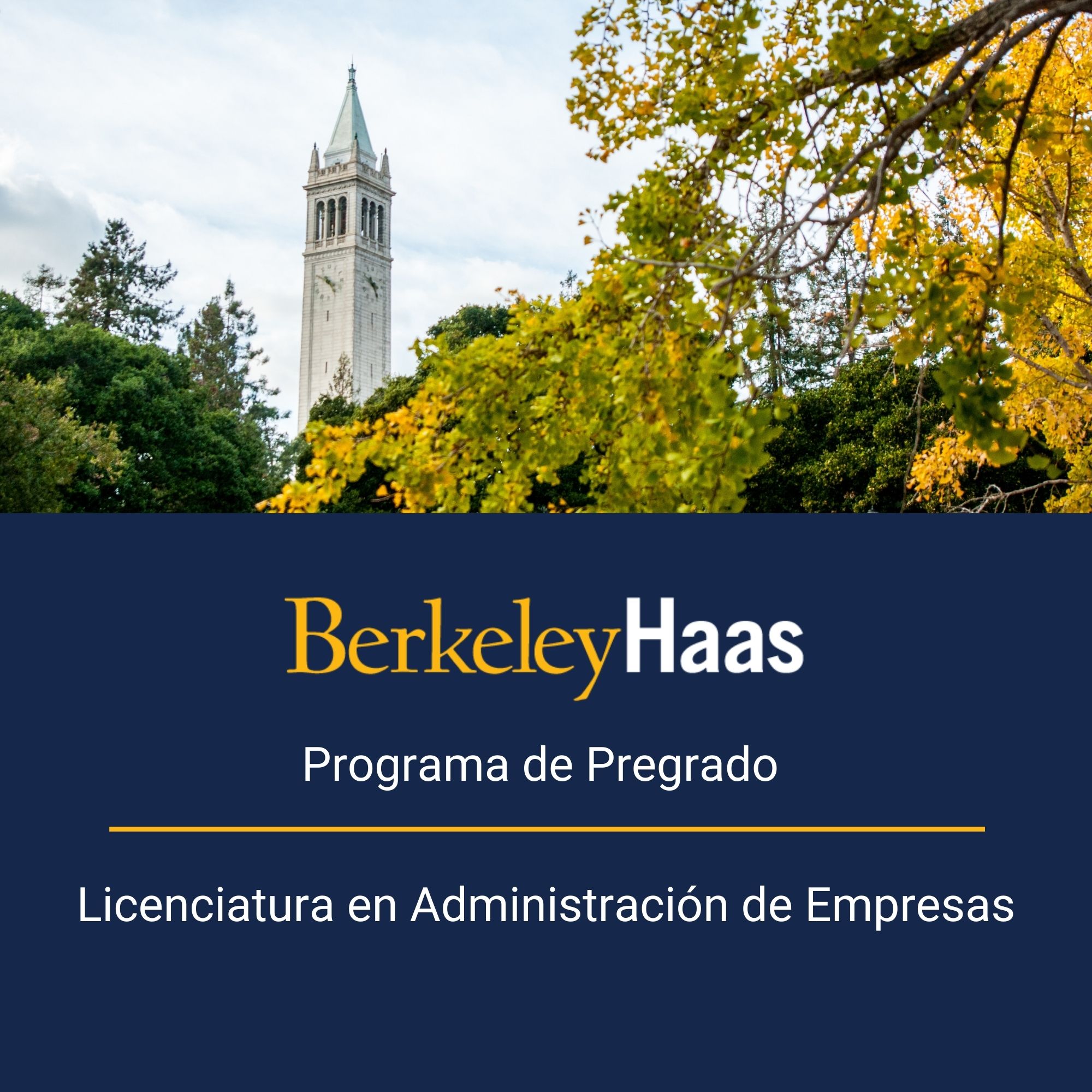 Haas Undergraduate Brochure in Spanish (PDF)