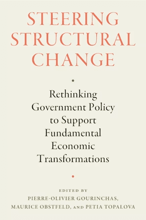 Steering Structural Change - Laura Tyson book