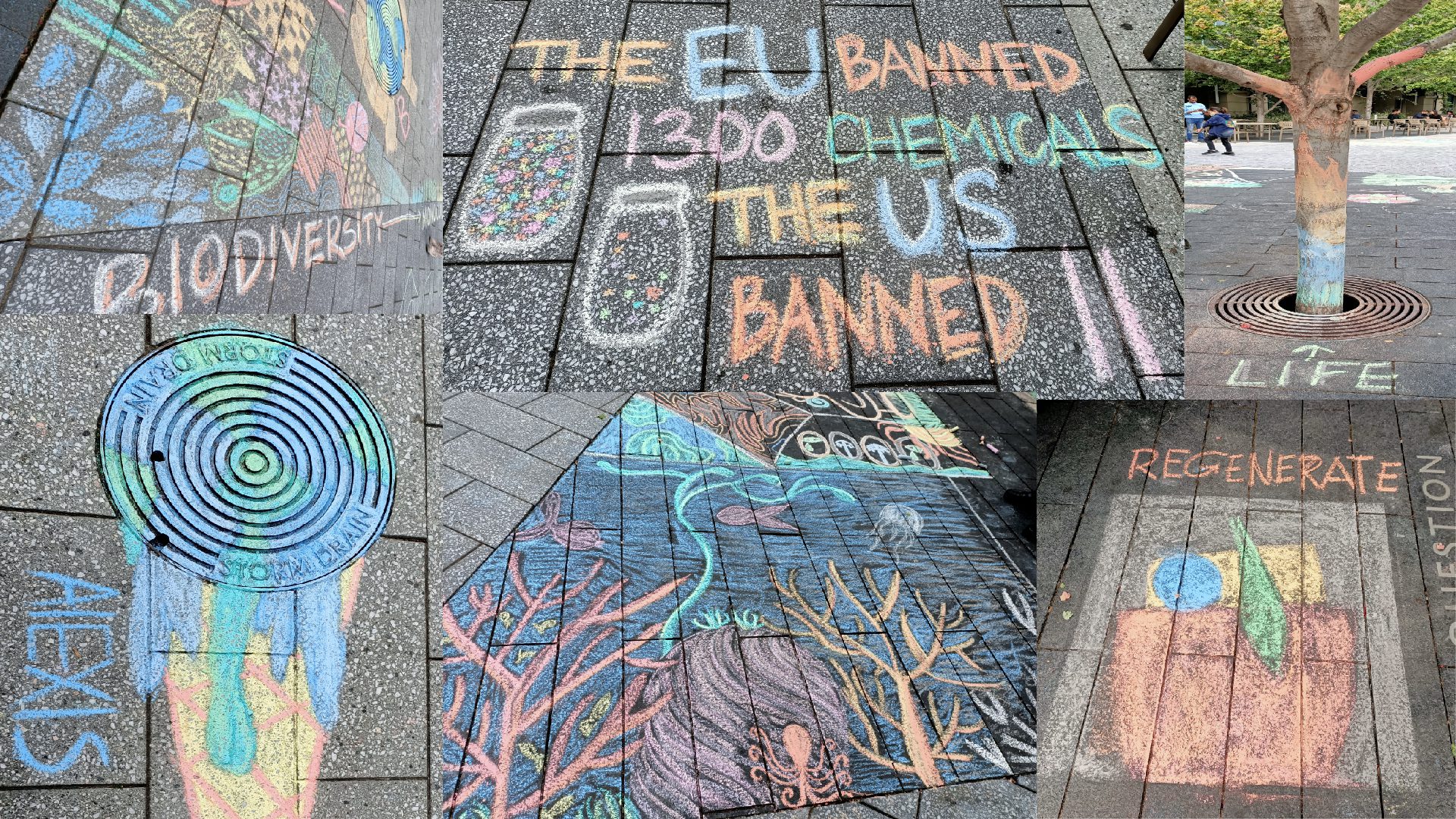 Collage of sustainability-centered chalk drawings