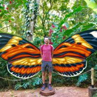 Person standing in front of giant butterfly wings