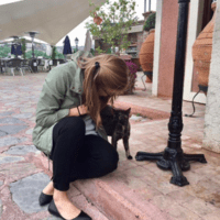 Person sitting and bending down to communicate with a cat