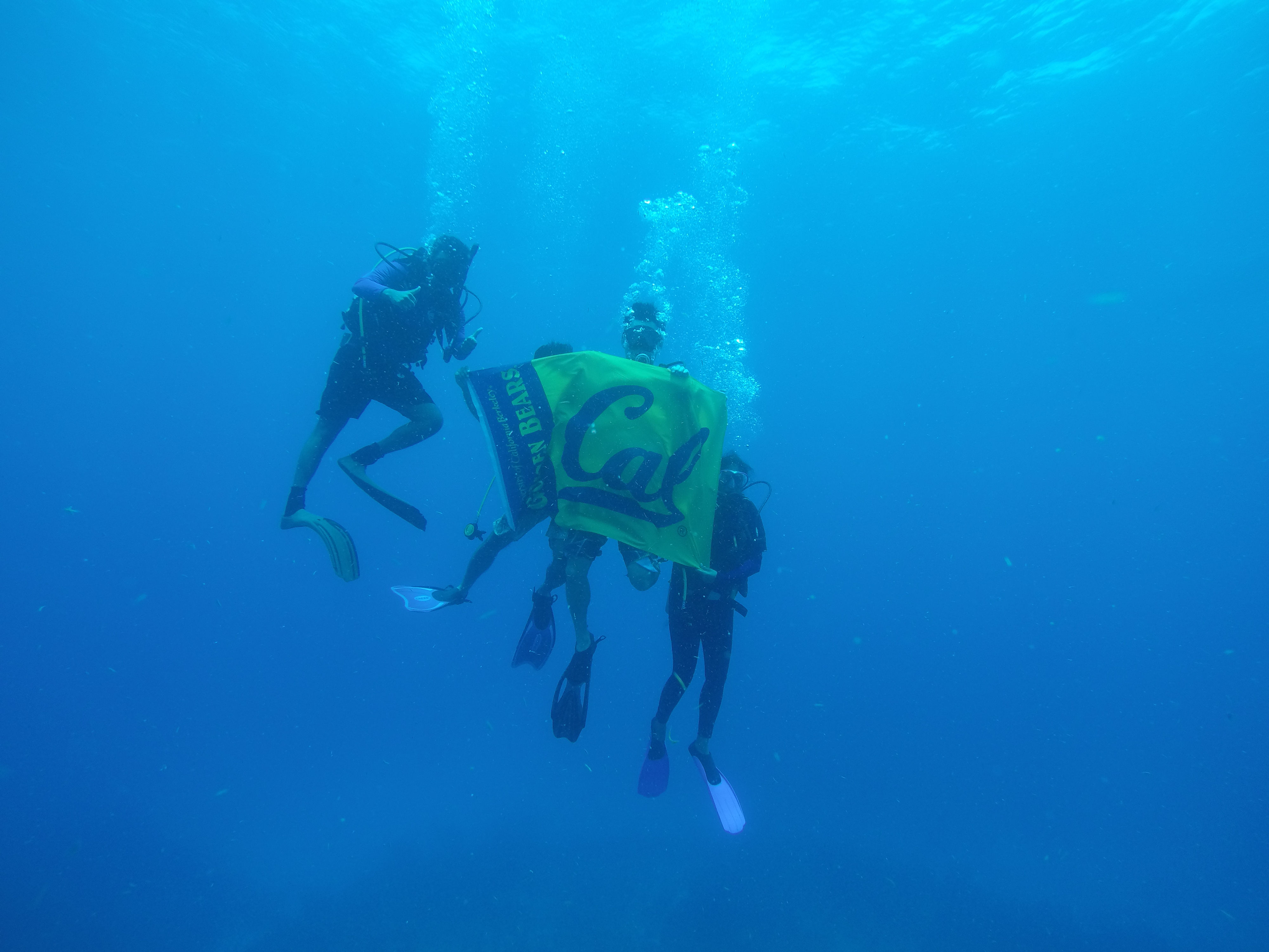 Team dove in the Glover’s Reef Atoll to unfurl the CAL flag at a depth of 100 feet underwater!